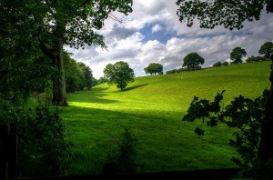 landscape-403165_640