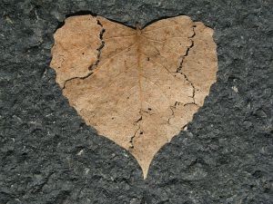 heart-742712_640